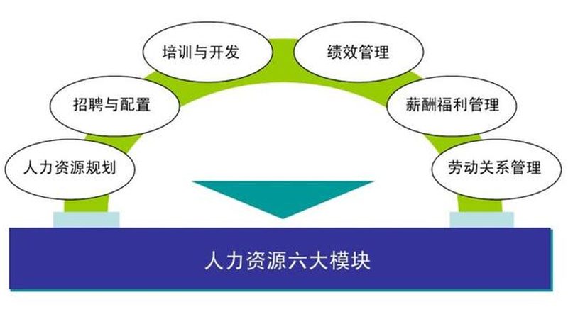社保代缴合同和劳动合同，别把两件事混为一谈