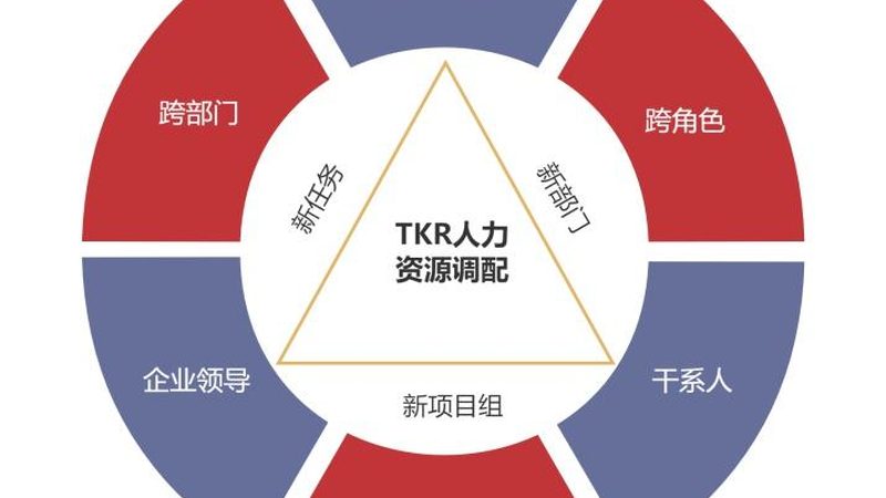 人才测评系统安装与数据迁移：关键步骤与注意事项**